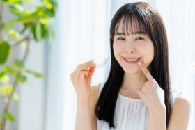 �i�v���ւ̐����ς��